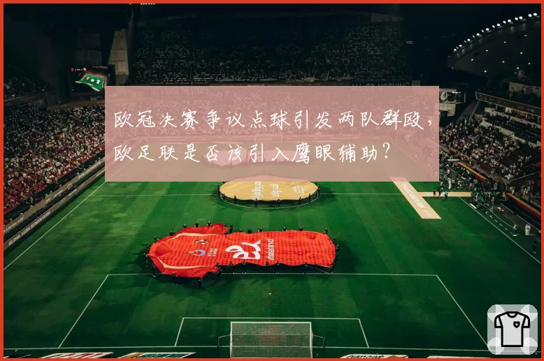欧冠决赛争议点球引发两队群殴，欧足联是否该引入鹰眼辅助？